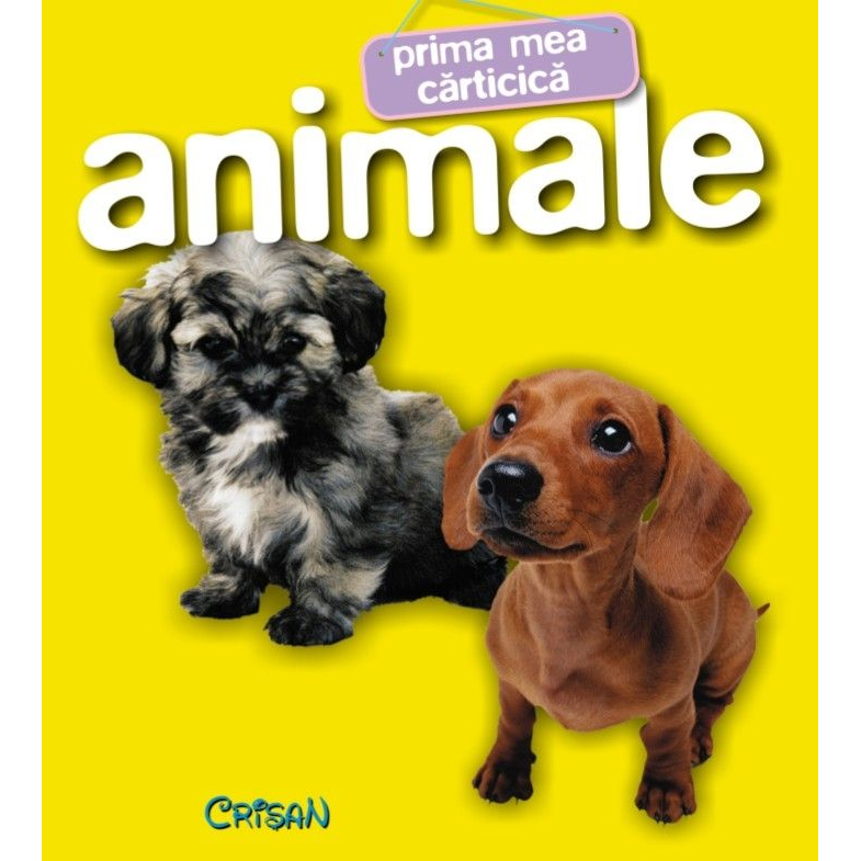 Poza urmeaza sa fie adaugata